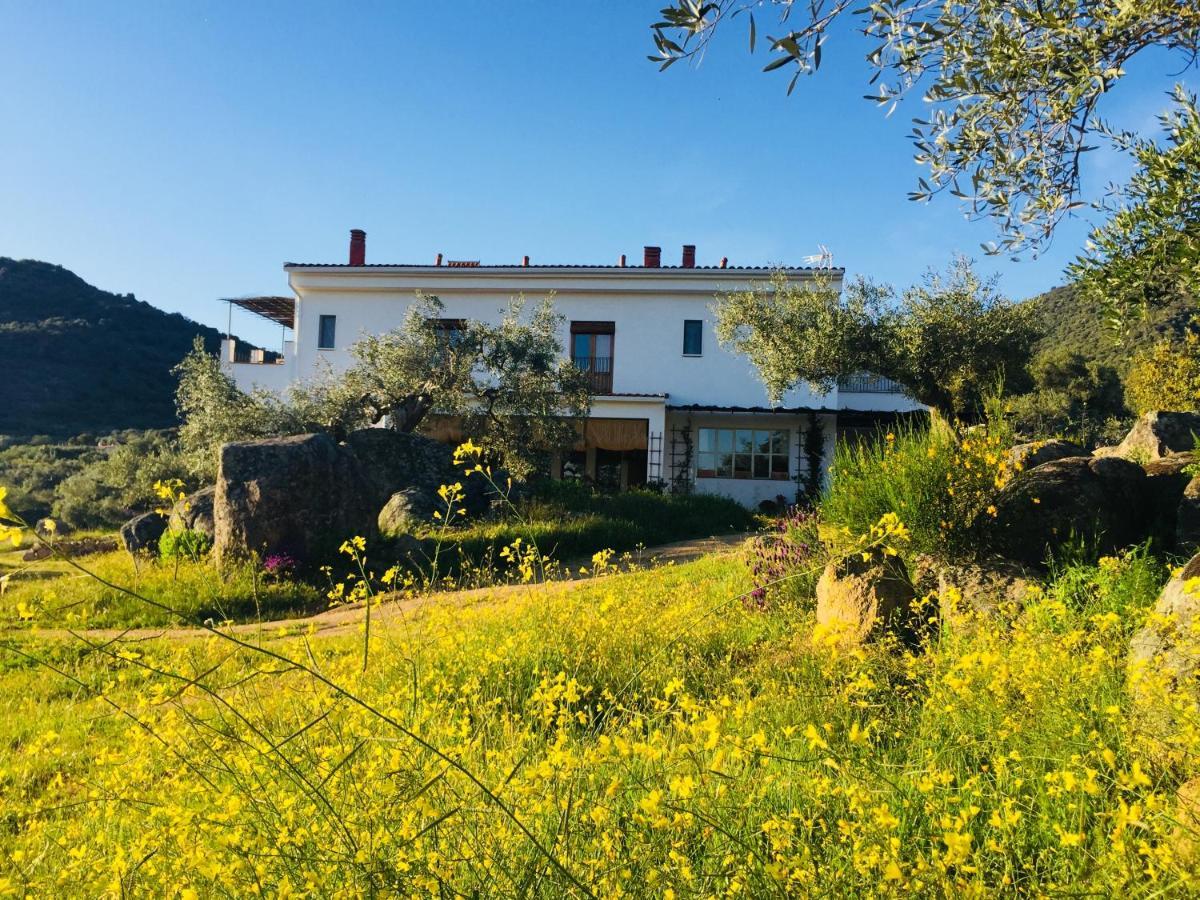 Flores Amarillas B&B Almoharin Exterior photo