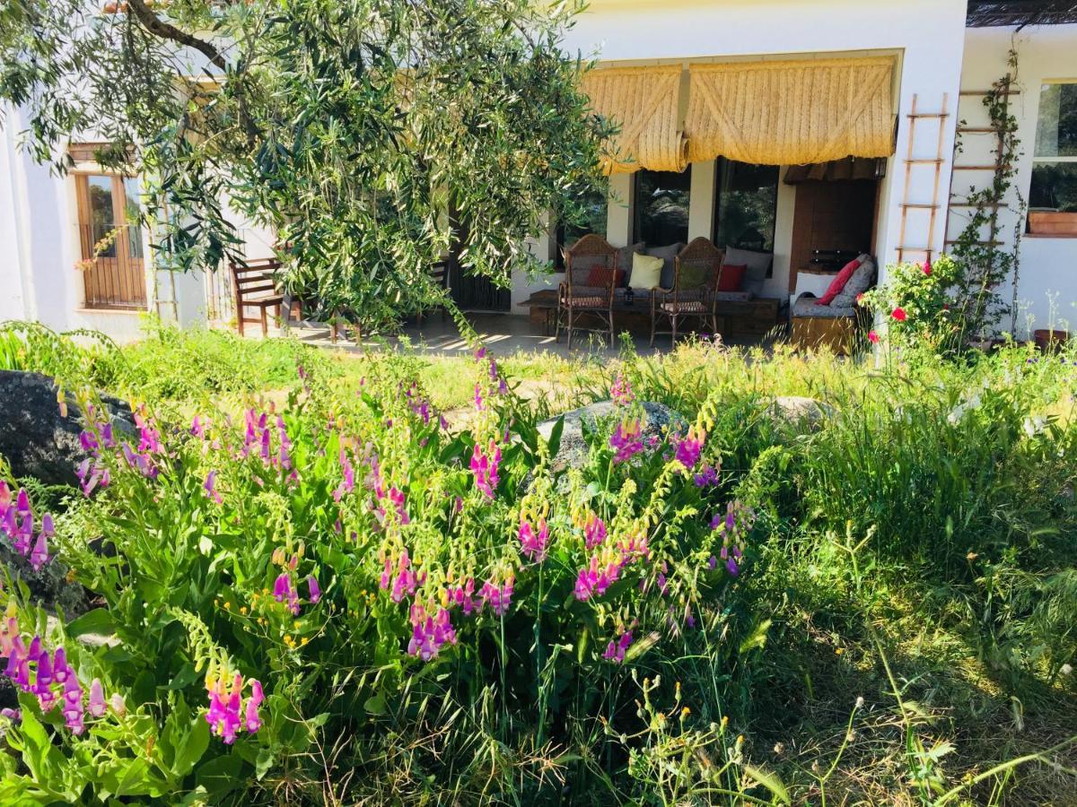 Flores Amarillas B&B Almoharin Exterior photo