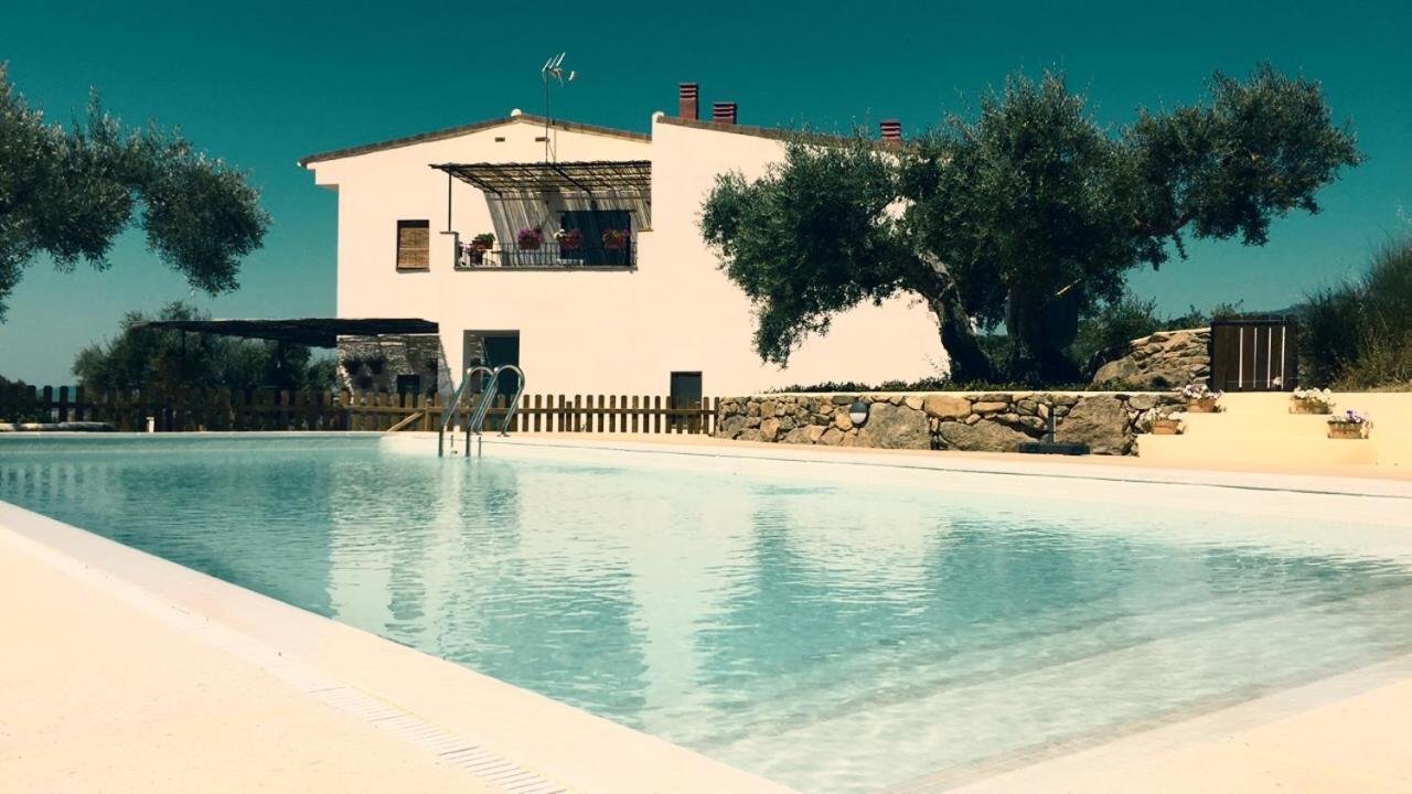 Flores Amarillas B&B Almoharin Exterior photo