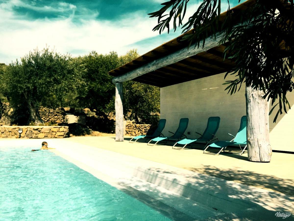 Flores Amarillas B&B Almoharin Exterior photo